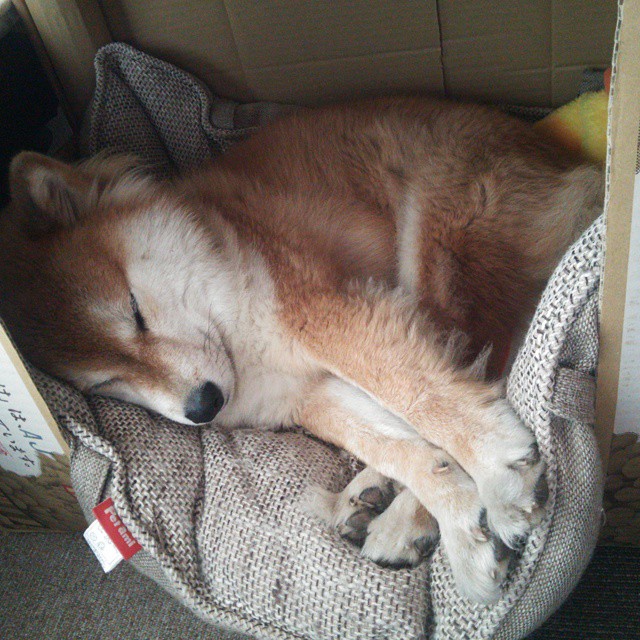 新文化潮流：NBA盛行个人品牌打造，nba球星的个人品牌