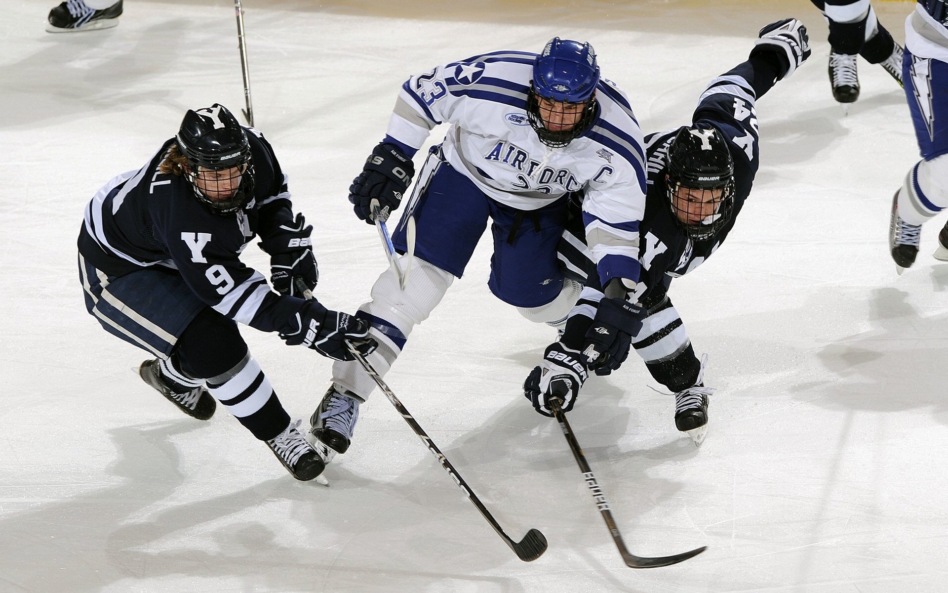 奥康纳突破防线，袋鼠队进攻更具威胁，奥康和袋鼠哪个牌子好