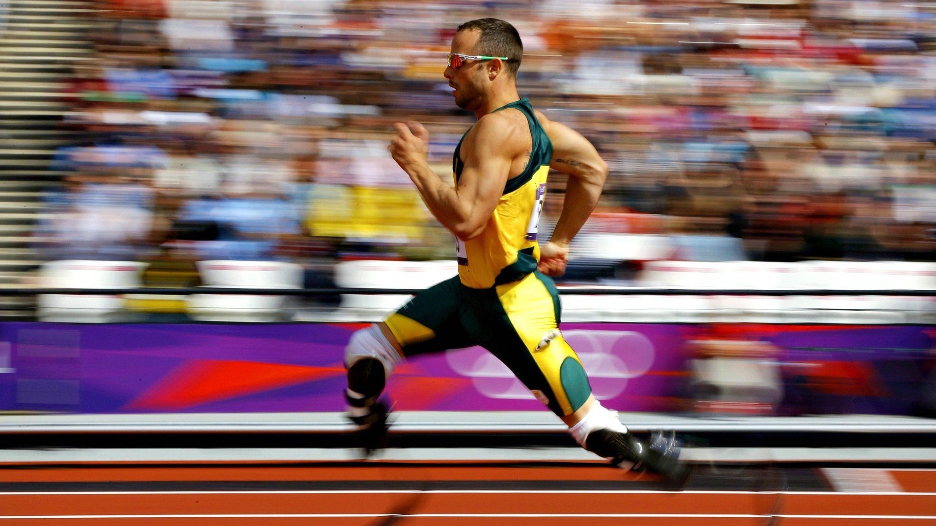 张雨霏自由泳节奏把控稳定，张雨霏打破全国自由泳纪录