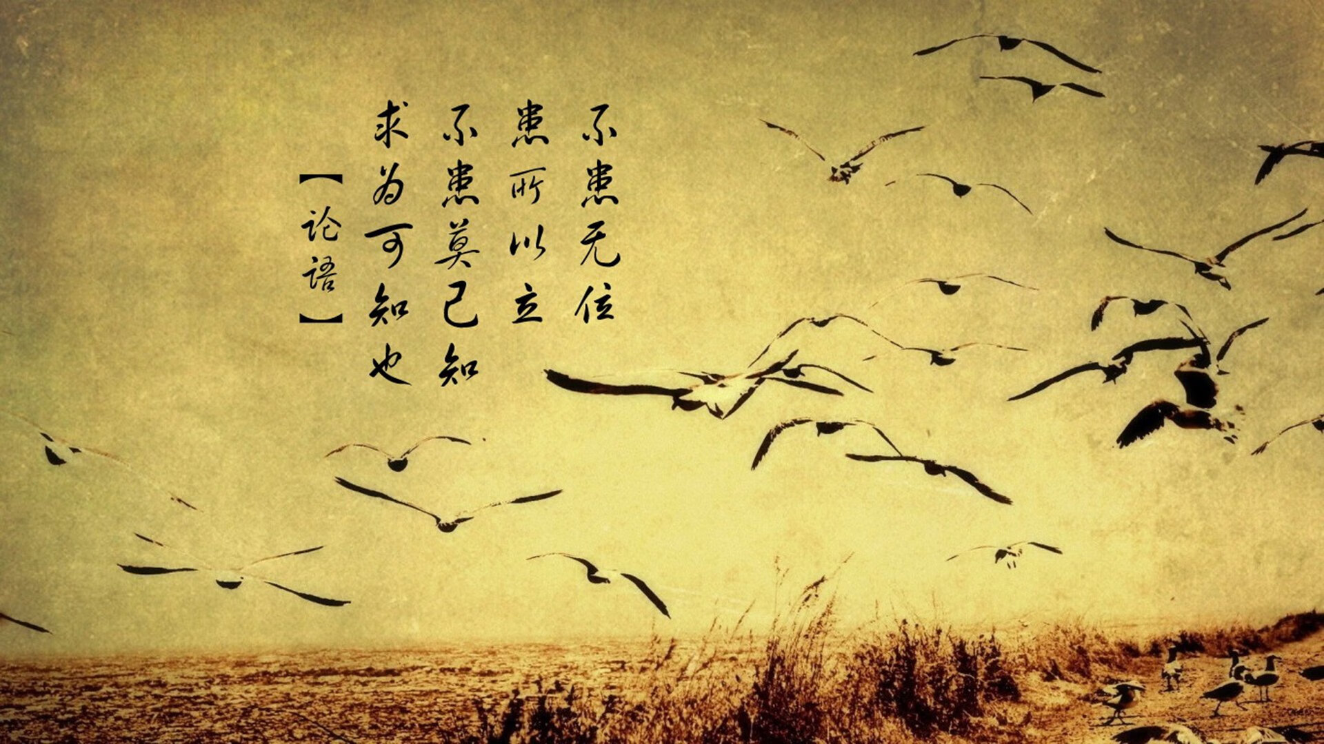 “球迷热议:你认为最精彩的比赛是哪场?”,世界上最精彩的球赛