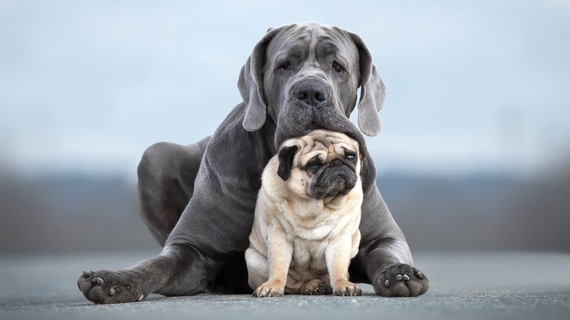 kaiyun体育app-【明星运动员专访】比赛中他们的心态调节和训练经验，运动员 心态