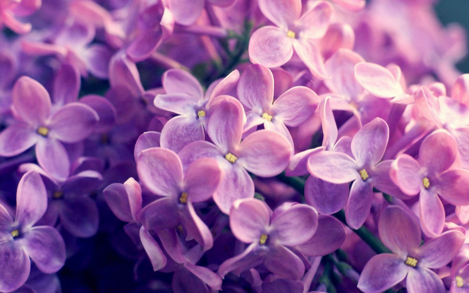 开云体育APP下载-台球比赛相关周边产品热销，台球比赛名称大全