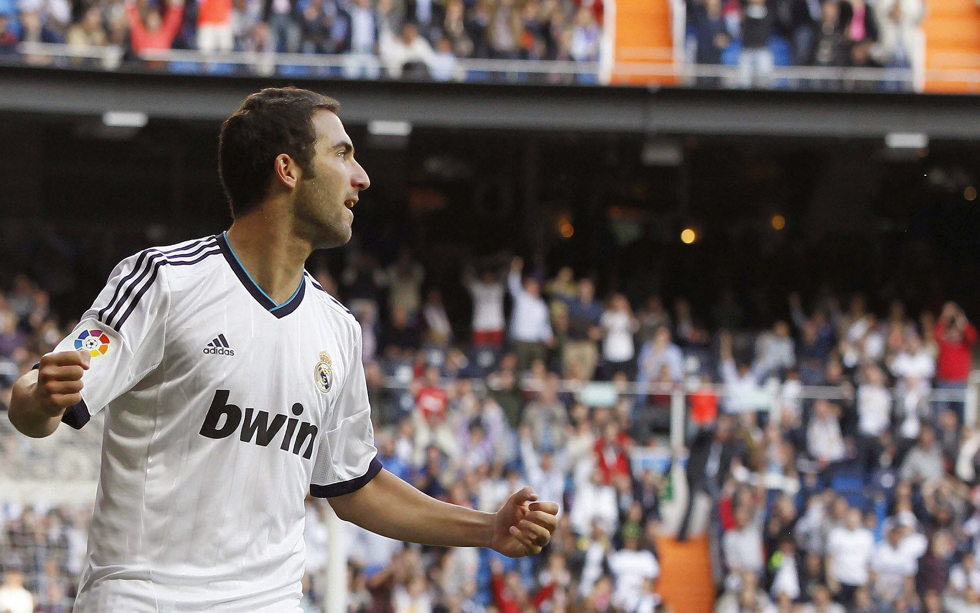 南非橄榄球商业化运作逐步走向成熟，市场前景广阔，南非 橄榄球